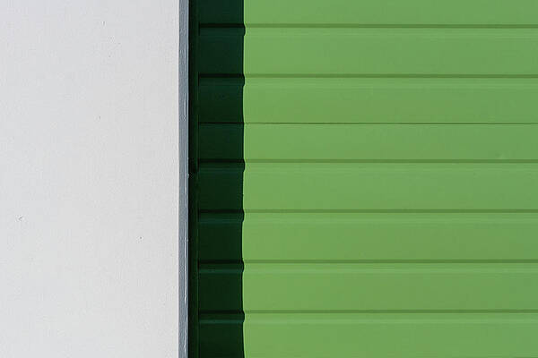 Wall Art featuring the photograph Green Shade by Chad Thunberg