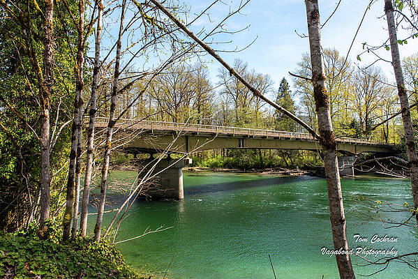 Spring Photograph - Green Skagit River In Spring by Tom Cochran