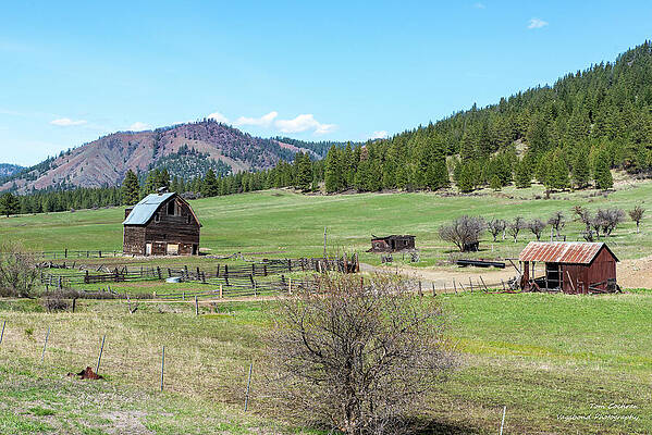 Wall Art featuring the photograph Green Valley For Bettas Barn by Tom Cochran