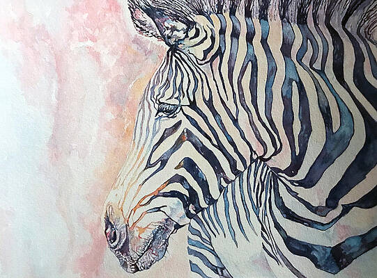 Painting - Grevy's Zebra by Grant Nixon
