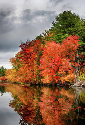 Autumn Foliage by the Lake Wall Art