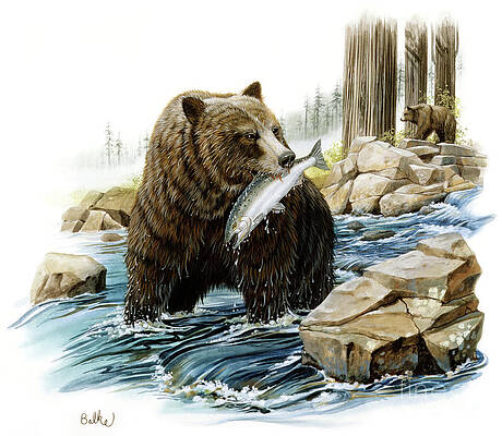 Painting - Grizzly Bear And Redwood by Don Balke