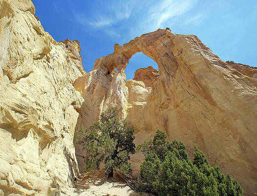 Grosvenor Arch by Joe Schofield