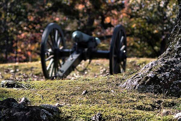 Confederate Wall Art featuring the photograph Ground Cover by American Landscapes