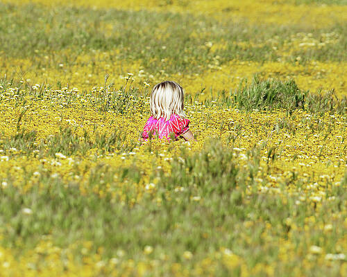 Vibrant Photograph - Growing Like A Weed -- Girl Sitting In Wildflower Field In Santa Margarita, California by Darin Volpe