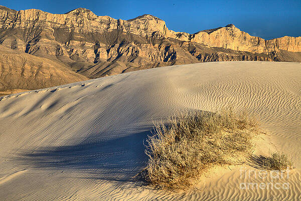 Mountain Wall Art featuring the photograph Guadalupe Mountains Salt Basin Dunes Landscape by Adam Jewell