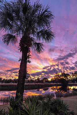 Sunset Wall Art featuring the photograph Gulf Coast Morning by Todd Wilkinson