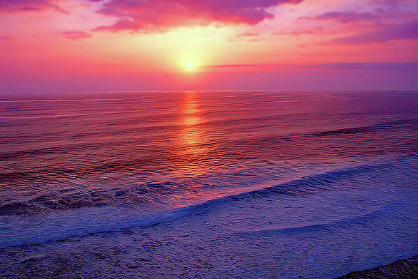 Wall Art featuring the photograph Gulf Sunset by Gina Fitzhugh