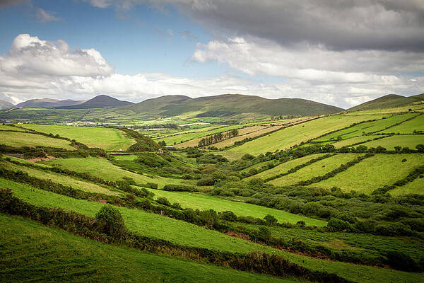 Ireland Wall Art featuring the photograph Gurteen Overlook by Mark Callanan