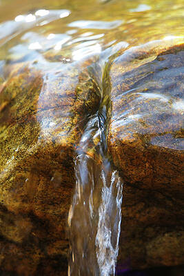Wall Art featuring the photograph Gushing Water by Sunniye Buesing