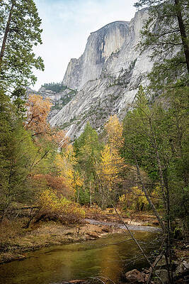 California Wall Art featuring the photograph Half Dome And Tenaya Creek by Diane Moller