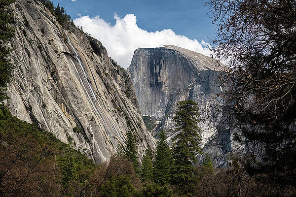 California Wall Art featuring the photograph Half Dome by Diane Moller