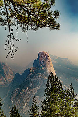 California Wall Art featuring the photograph Half Dome Framed By Trees by Cindy Robinson