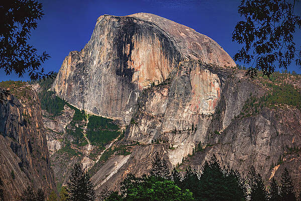 Wall Art featuring the photograph Half Dome In Summer Light, California by Abbie Warnock