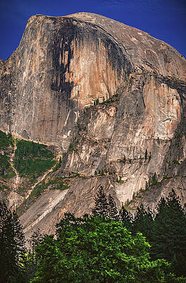 Wall Art featuring the photograph Half Dome In Summer Light - Yosemite, California - Vertical by Abbie Warnock