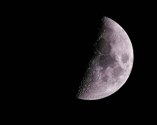 Photograph - Half Moon by Robert Allen Hill