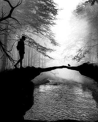 Monochrome Forest River Scene Photograph