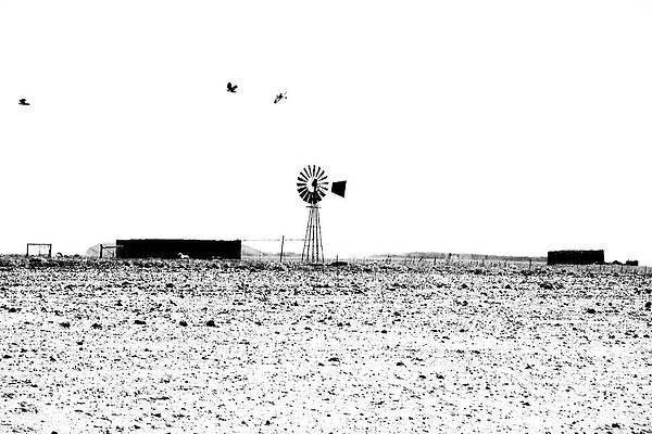 Wall Art featuring the photograph Halfway by Mia Badenhorst