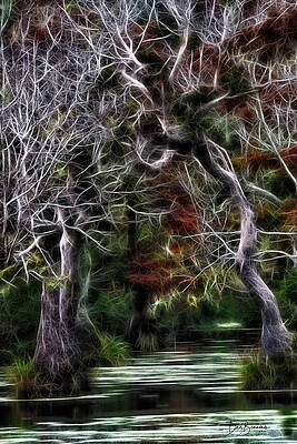 Abstract Photograph - Halloween Swamp 6258 by Dan Beauvais