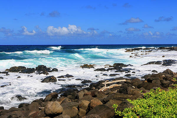 Hawaii Wall Art featuring the photograph Hanamaulu Beach 1,  Kauai by Dawn Richards