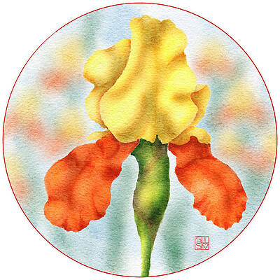 Delicate Digital Art - Hand-Drawn Bearded Iris Floral Art In Vibrant Watercolor Style by Snow Iris Studio