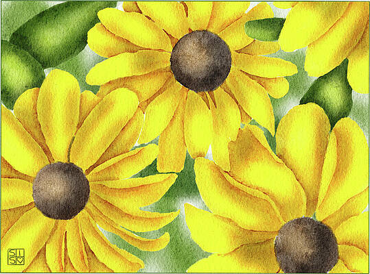 Watercolor Digital Art - Hand-Drawn Black-eyed Susan Botanical Watercolor Art Print by Snow Iris Studio