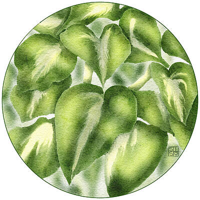Watercolor Digital Art - Hand-Drawn Botanical Hosta Plant Artwork Uniquely Crafted Green Serenity For Home Decor by Snow Iris Studio