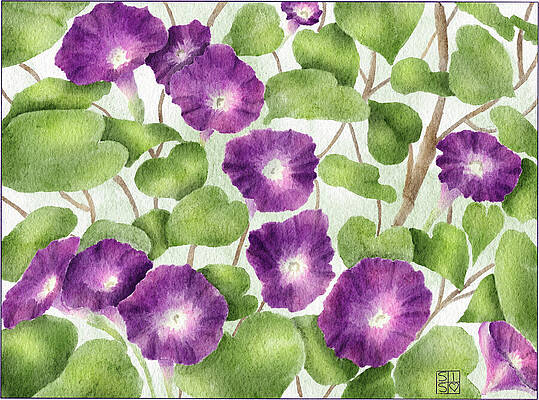 Flower Wall Art featuring the digital art Hand-Drawn Dark Purple Morning Glory Art A Perfect September Birth Flower Tribute by Snow Iris Studio