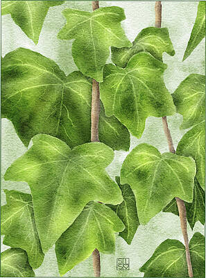 Natural Wall Art featuring the digital art Hand-Drawn Ivy Leaves Wall Art A Botanical Masterpiece by Snow Iris Studio