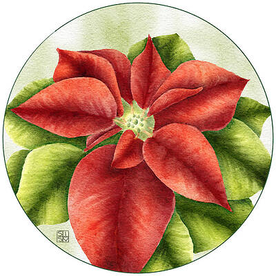 Vibrant Wall Art featuring the digital art Hand-drawn Poinsettia Art Print A Botanical Addition To Your Holiday Decor And Gifts by Snow Iris Studio