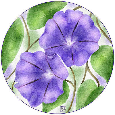 Delicate Digital Art - Hand-Drawn Purple Morning Glories Unique Botanical Wall Art And Accessories by Snow Iris Studio