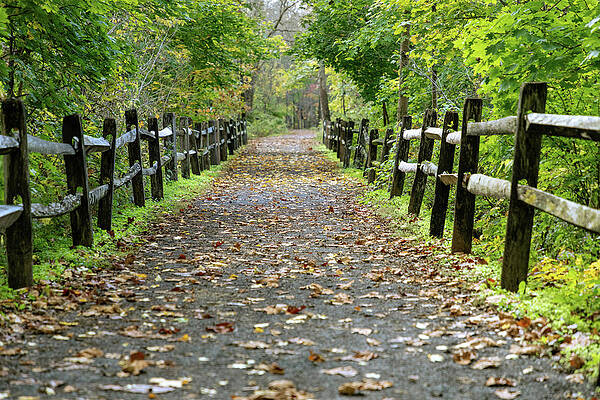 Beautiful Photograph - Hanging On by Todd Wilkinson