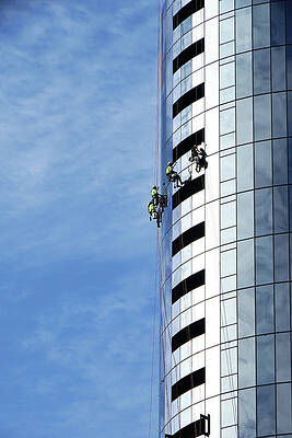 Wall Art featuring the photograph Hanging Out At The Office by Richard Reeve