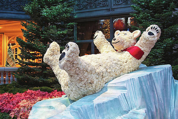 Playful Polar Bear on Ice Slide Wall Art