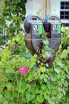 Wall Art featuring the photograph Happy Parking Meters - Quebec, Canada by Tatiana Travelways