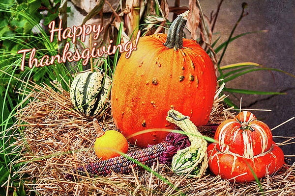Thanksgiving Pumpkin Display Wall Art