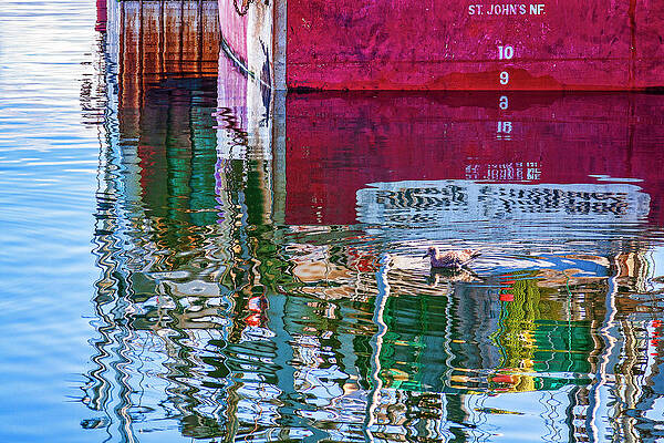 Fall Wall Art featuring the photograph Happy Water Reflections by Tatiana Travelways