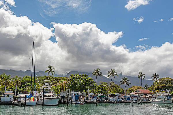 Sky Wall Art featuring the photograph Harbor View Of West Maui Mountains by Charlie Osborn