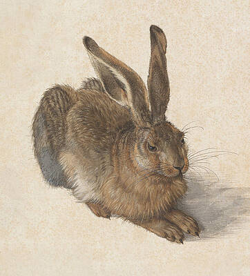 Modern Wall Art featuring the painting Hare By Albrecht Durer by The Luxury Art Collection