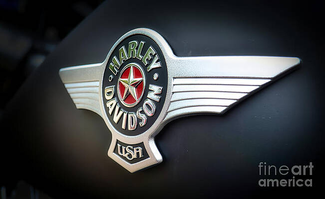 Transportation Wall Art featuring the photograph Harley Davidson Motorcycle by Stefano Senise