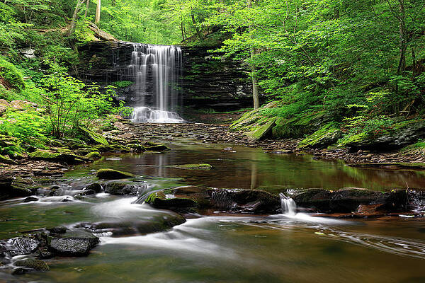Wilkinson Wall Art featuring the photograph Harrison Wright by Todd Wilkinson