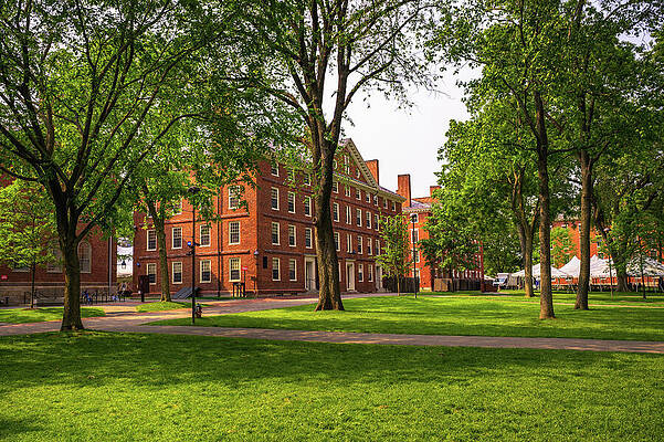 Wall Art featuring the photograph Harvard University Campus In Cambridge, Massachusetts by Miroslav Liska