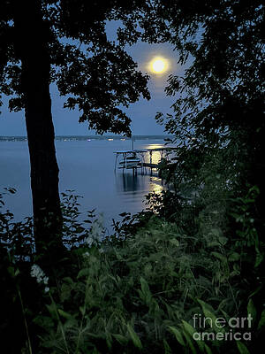 Serene Wall Art featuring the photograph Harvest Moon 2024 by William Norton