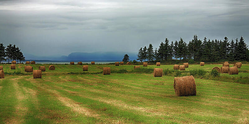 Fall Wall Art featuring the photograph Harvest Time In Canada by Tatiana Travelways
