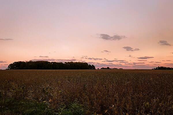 Serene Wall Art featuring the photograph Harvest's Embrace Serene Sunset Over Rural Fields by Travel Essayist
