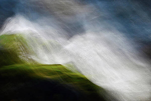 Nature Photograph - Hasty by Ursula Abresch