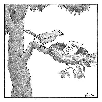 Bird and Note by Nest Wall Art