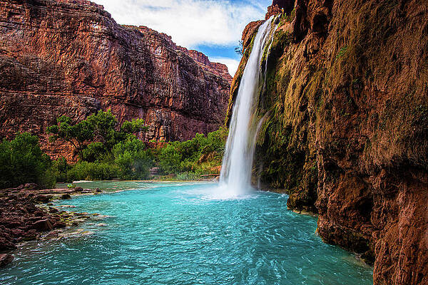 Wall Art featuring the photograph Havasu Waterfall by Adam Mateo Fierro