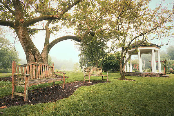 Wall Art featuring the photograph Have A Seat At The Allentown Rose Gardens by Jason Fink
