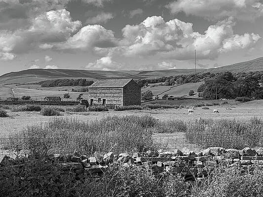 Sunny English Countryside Scene Photograph
